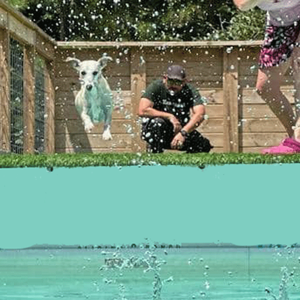 Placeholder Picture