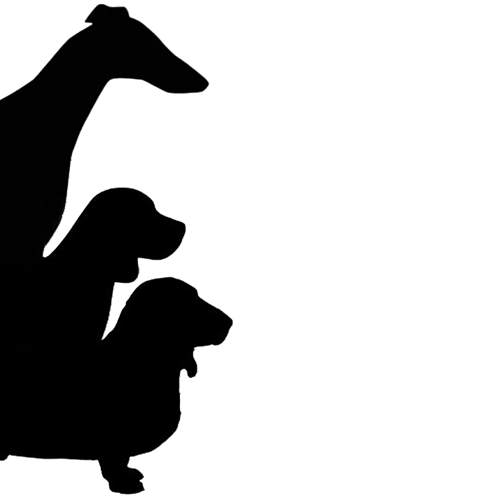 Placeholder Picture